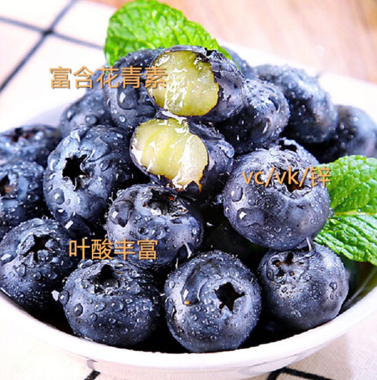 云南山地怡颗莓蓝莓 新鲜蓝莓水果高档生鲜当季莓果礼包 蓝莓1盒【125g/盒】